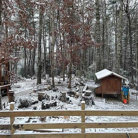Beautiful & Peaceful Cabin W/ Deck Garden & Fire-Pit Murphy Exteriör bild