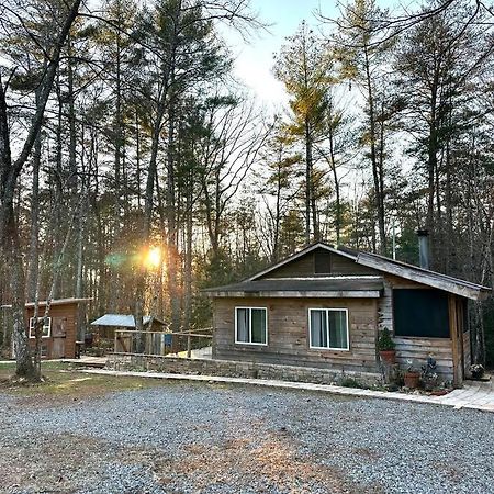 Beautiful & Peaceful Cabin W/ Deck Garden & Fire-Pit Murphy Exteriör bild