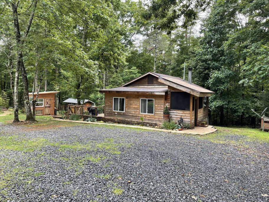 Beautiful & Peaceful Cabin W/ Deck Garden & Fire-Pit Murphy Exteriör bild